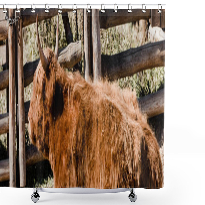 Personality  Panoramic Shot Of Bison Standing Near Wooden Fence  Shower Curtains