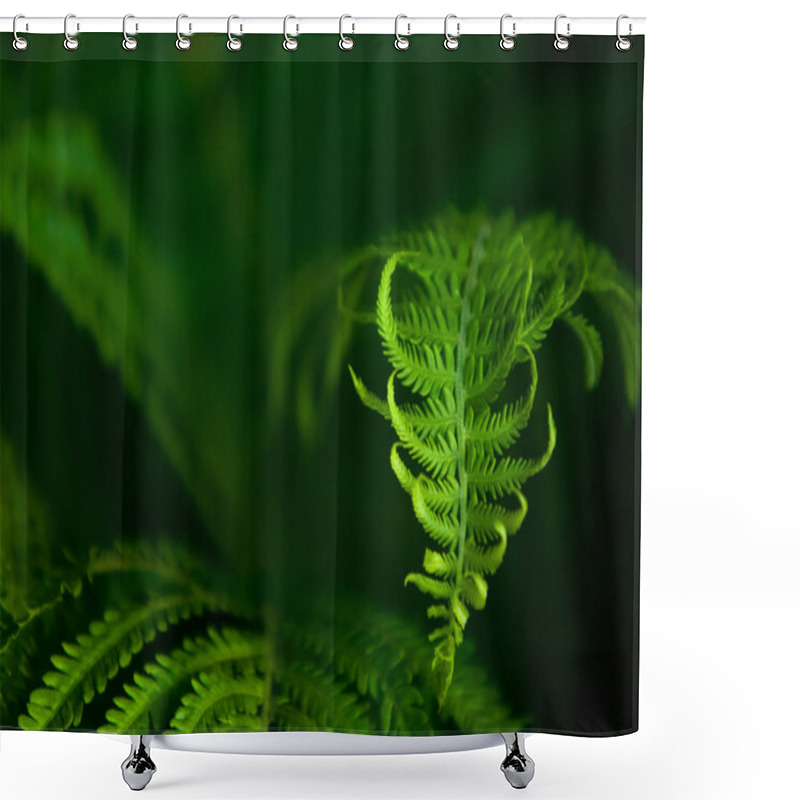 Personality  Fern, Brake Shower Curtains