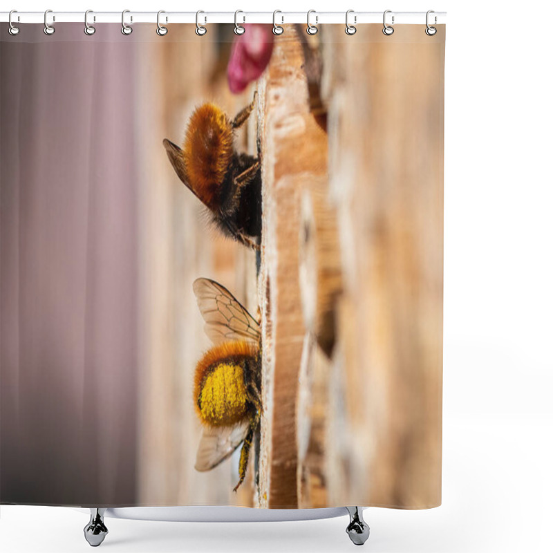 Personality  Osmia Wall Bees Sitting On Nesting Aid, Sunny Day In Spring, Vienna (Austria) Shower Curtains