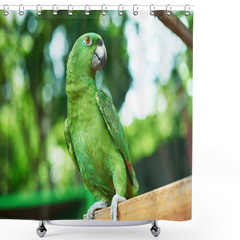 Personality  Green Parrot Sitting On Branch Shower Curtains