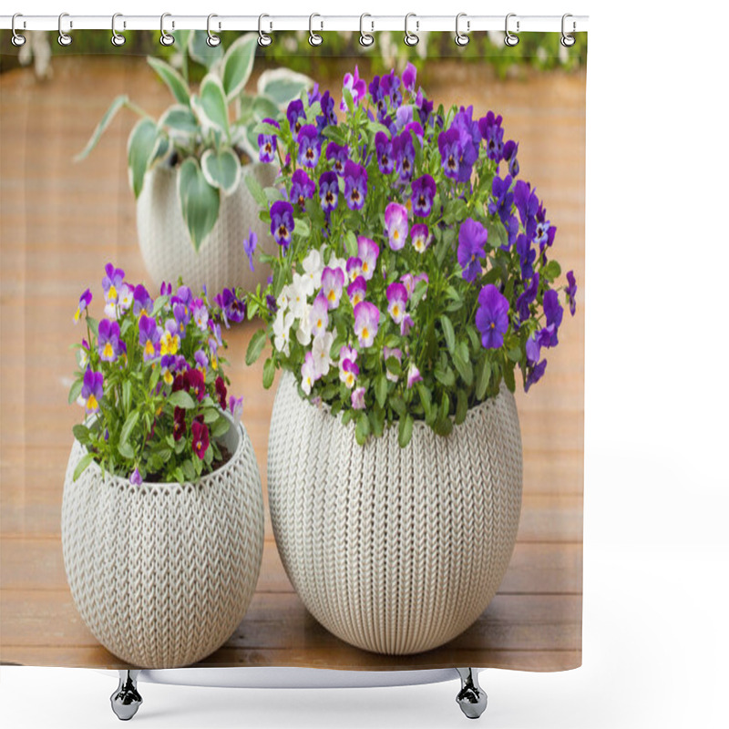 Personality  Beautiful Pansy Summer Flowers In Flowerpots In Garden Shower Curtains