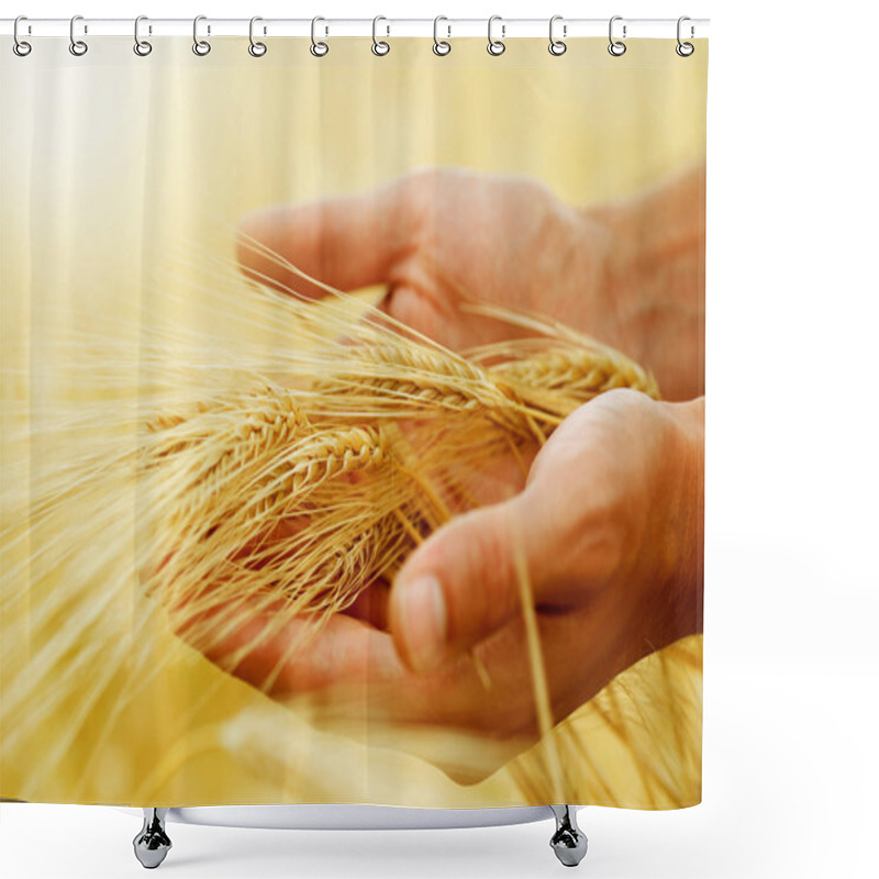 Personality  Wheat Ears In The Hands. Harvest Concept Shower Curtains