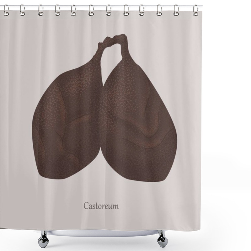 Personality  Beaver Stream Or Castoreum Substance Of Animal Origin. Shower Curtains