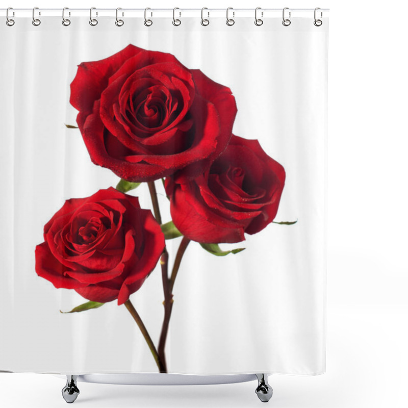 Personality  Two Red Roses Shower Curtains