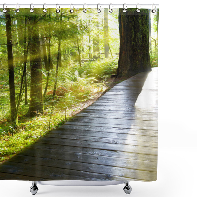 Personality  Green Forest At Sunrise Shower Curtains