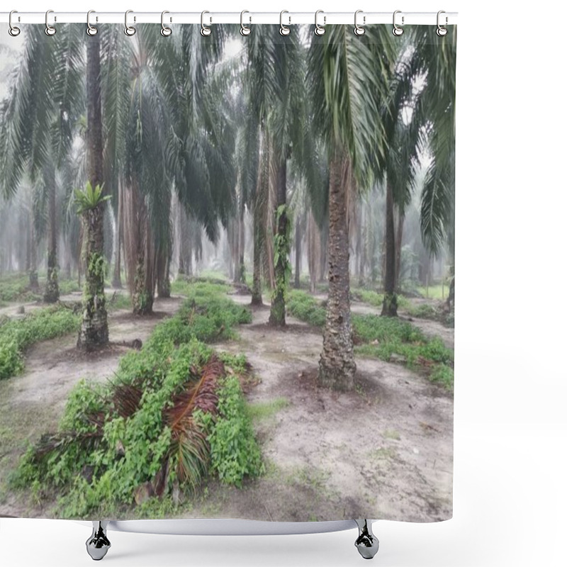 Personality  Misty Morning Scene At The Palm Forest  Shower Curtains