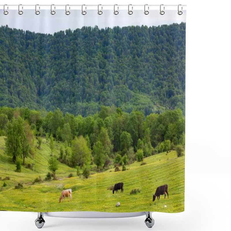 Personality  Rural Spring Pasture Landscape In Sochi, Russia. Shower Curtains