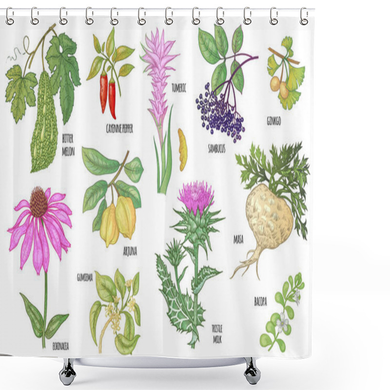 Personality  Set Of Medical Plants. Shower Curtains