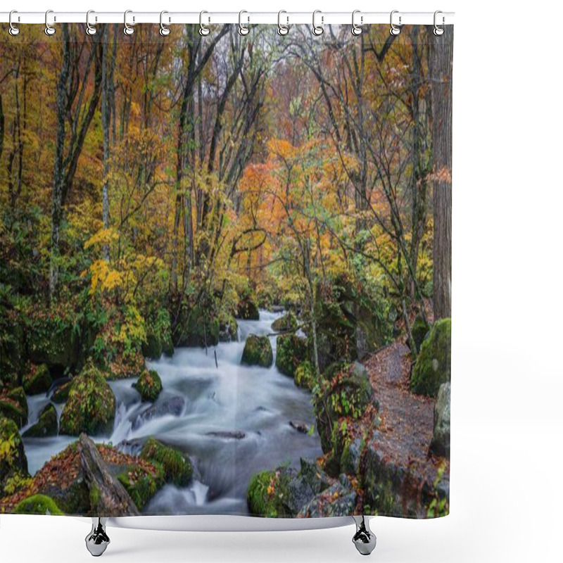 Personality  The Oirase Stream In The Aomori Prefecture In Japan In Autumn Shower Curtains