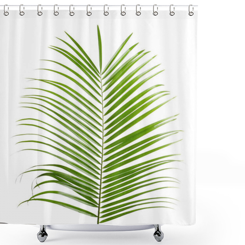 Personality  Beautiful Tropical Sago Palm Leaf On White Background Shower Curtains