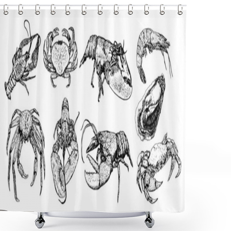 Personality  Set Of Sketch Lobster, Crab, Crab, Shrimp, Oyster, Black Line Is Shower Curtains