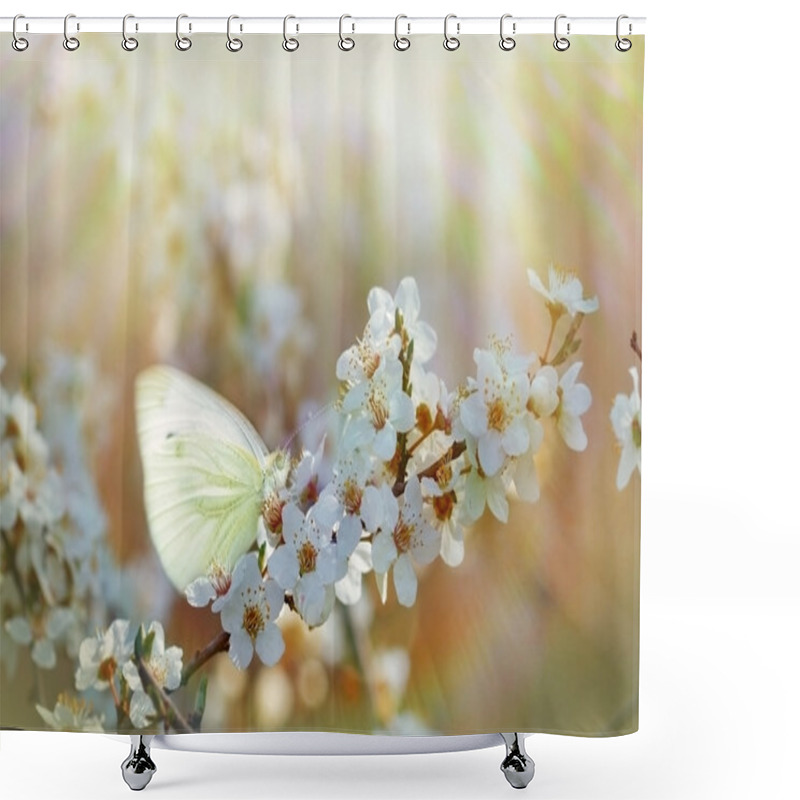 Personality  Butterfly On Flowering Branch Shower Curtains