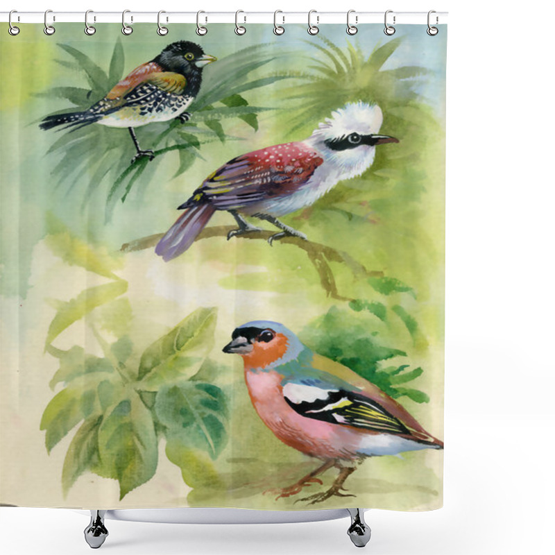 Personality  Exotic Birds On Branches Shower Curtains