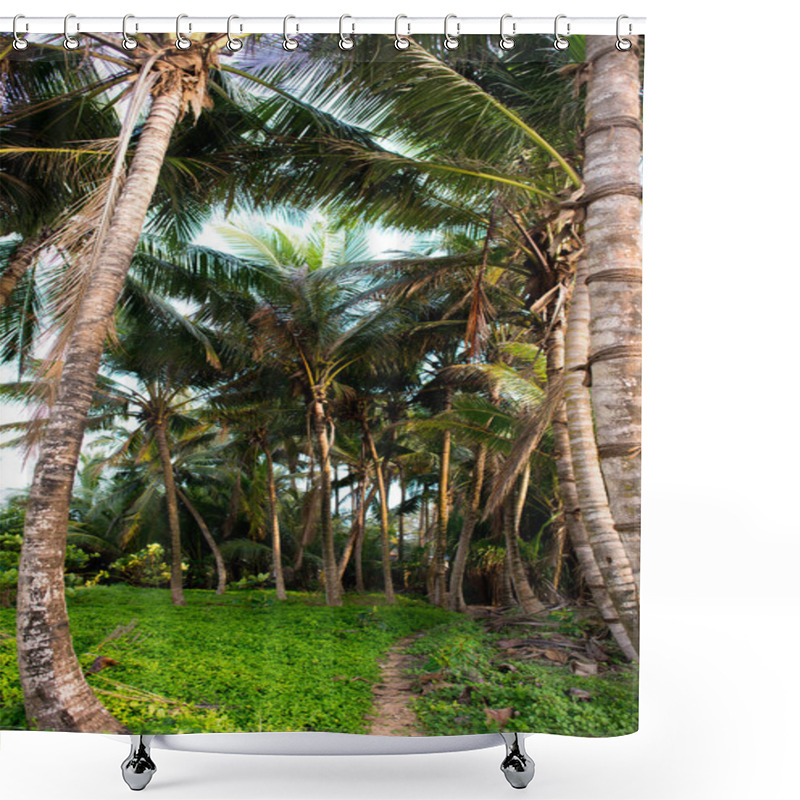 Personality  Palm Trees In Rainforest Shower Curtains