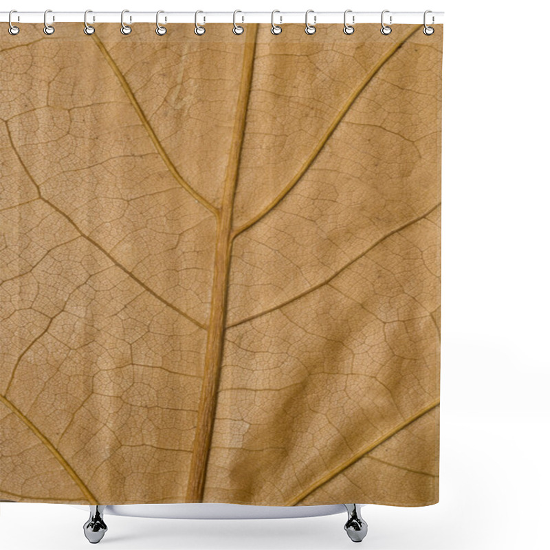 Personality  Macro Of Yellow Maple Leaf Surface Shower Curtains