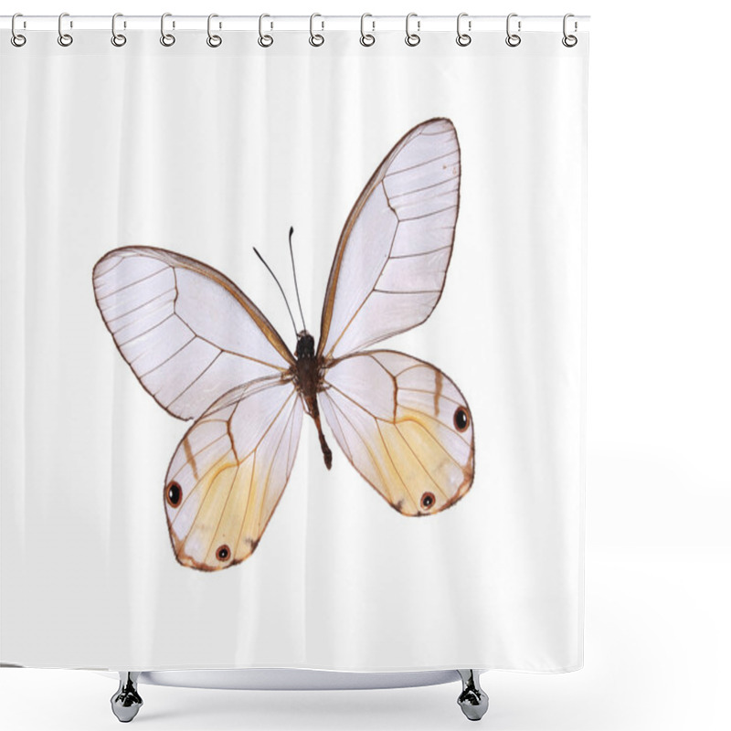 Personality  Red And White Butterflies Isolated On A White Background Shower Curtains