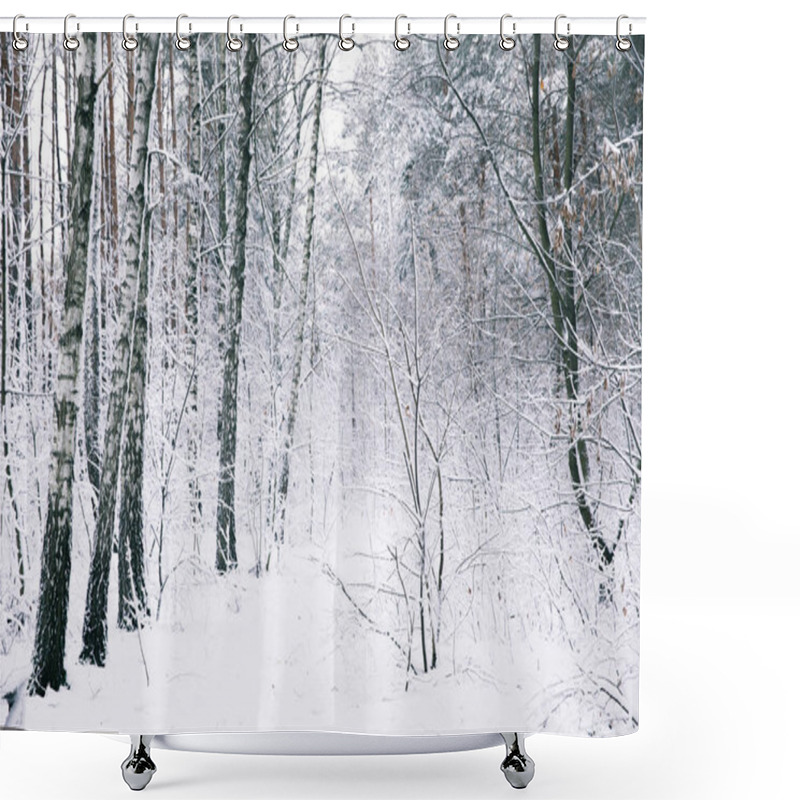 Personality  Beautiful Trees Covered With Snow In Forest Shower Curtains