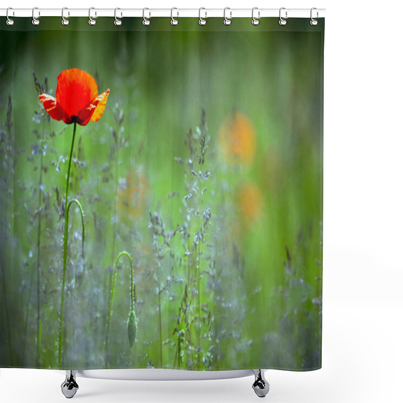 Personality  Beautiful Red Poppy In The Green Field. Shower Curtains