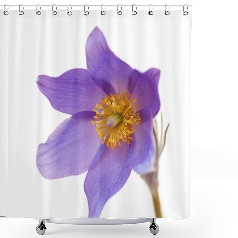 Personality  Spring Flower Isolated On A White Background. Shower Curtains