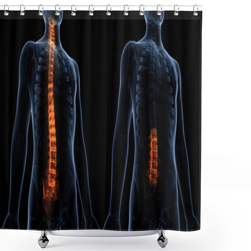 Personality  Vertebral Column Thoracic Vertebrae Of Human Skeleton System Anatomy. 3D - Illustration Shower Curtains