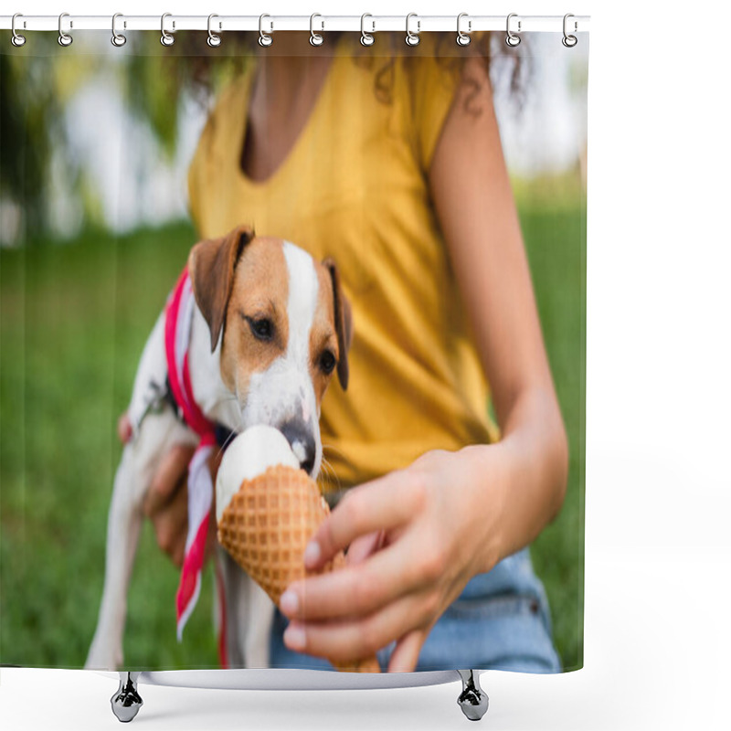 Personality  Selective Focus Of Jack Russell Terrier Dog Eating Ice Cream From Hand Shower Curtains