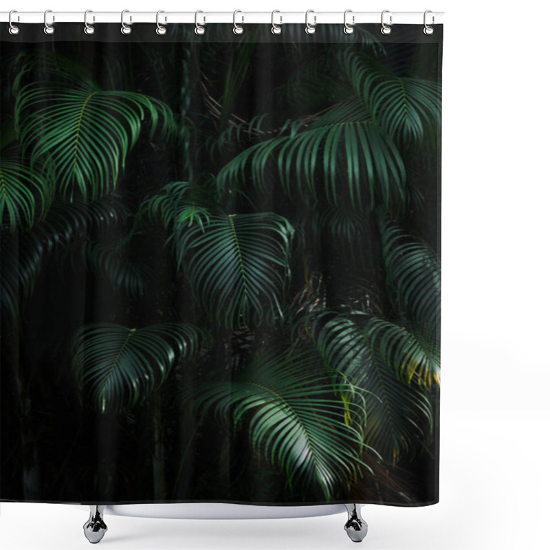 Personality  Vertical Dark Green Palm Leaves Texture Background Shower Curtains