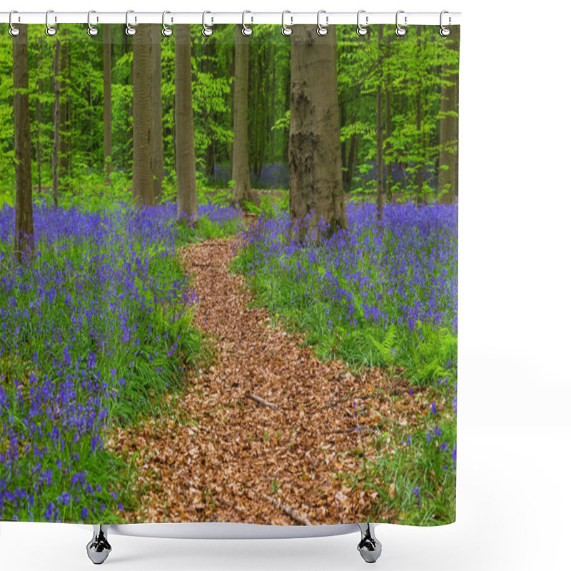 Personality  Famous Forest Hallerbos In Brussels Belgium - Nature Background Shower Curtains