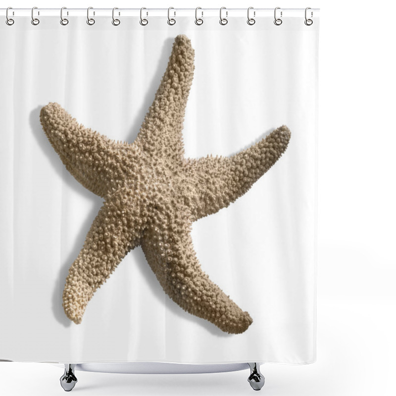 Personality  Isolated Starfish Shower Curtains