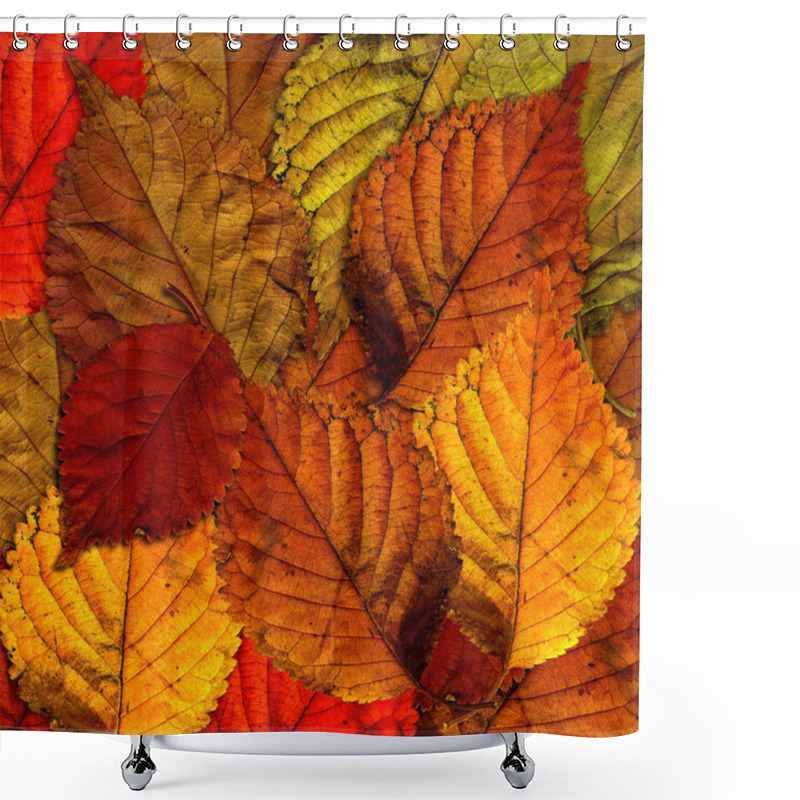 Personality  Beautiful Scenery Of The Forest Shower Curtains