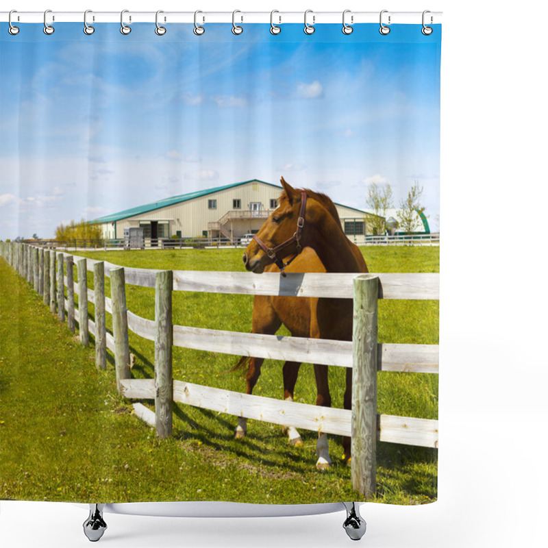 Personality  American Country Shower Curtains