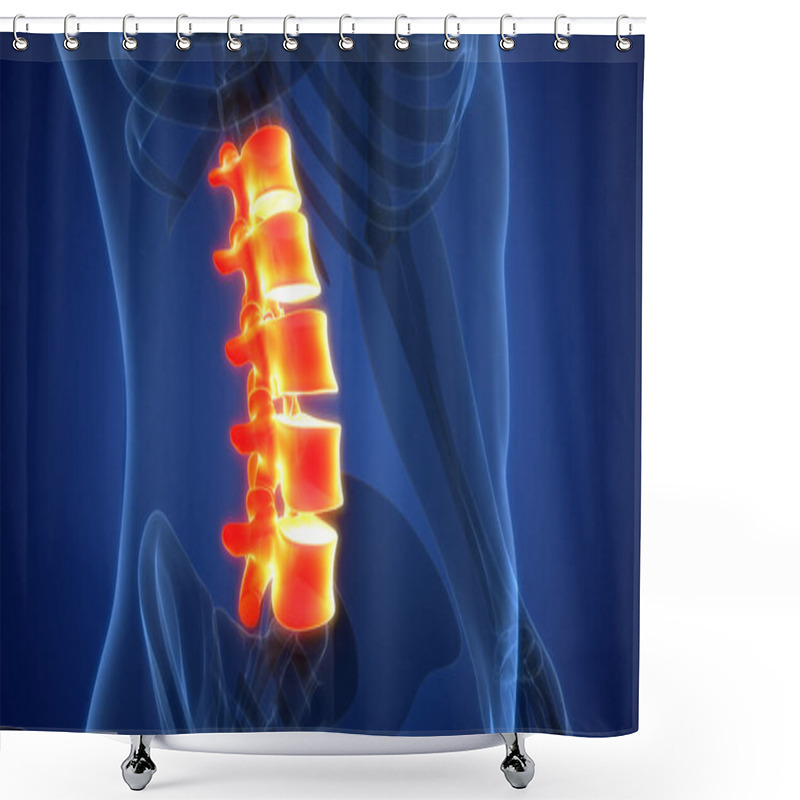 Personality  Spinal Cord Vertebral Column Lumbar Vertebrae Of Human Skeleton System Anatomy. 3D Shower Curtains