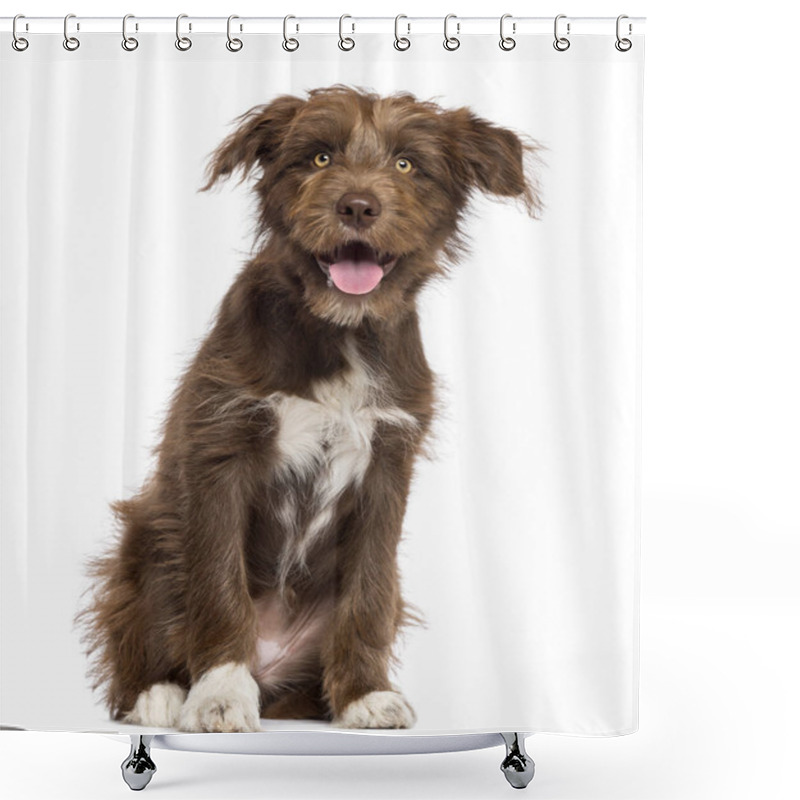 Personality  Crossbreed Dog Sitting And Looking At Camera Against White Backg Shower Curtains