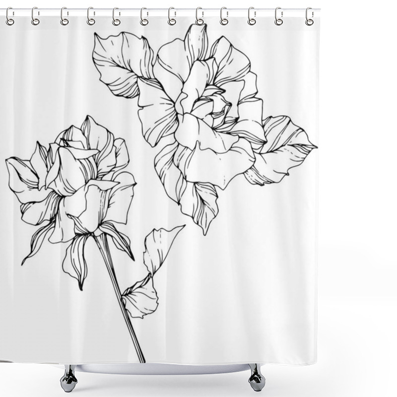 Personality  Vector. Rose Flowers Isolated Illustration Element On White Background. Black And White Engraved Ink Art Shower Curtains