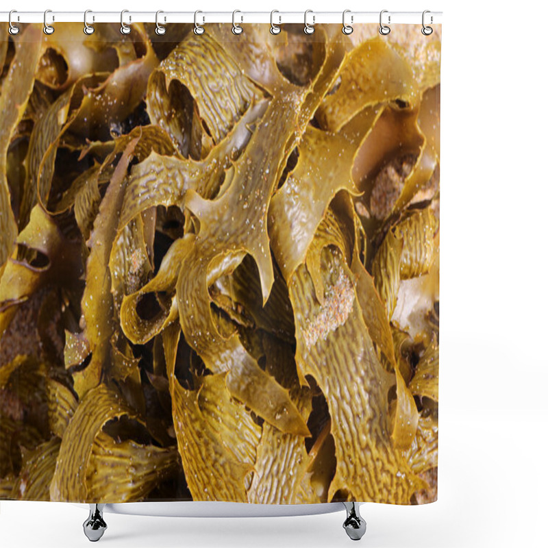 Personality  Kelp Shower Curtains