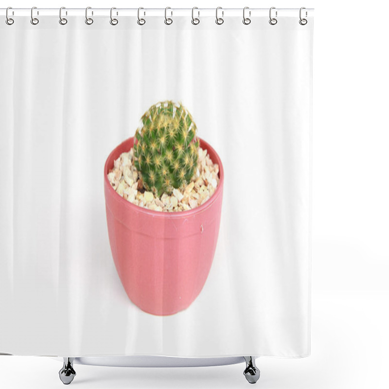 Personality  Stock Photo - Small Cactus Isolated On White Shower Curtains