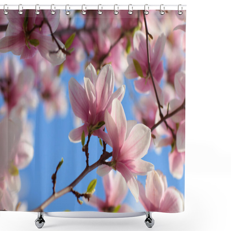 Personality  Magnolia Flowers Closeup Shower Curtains