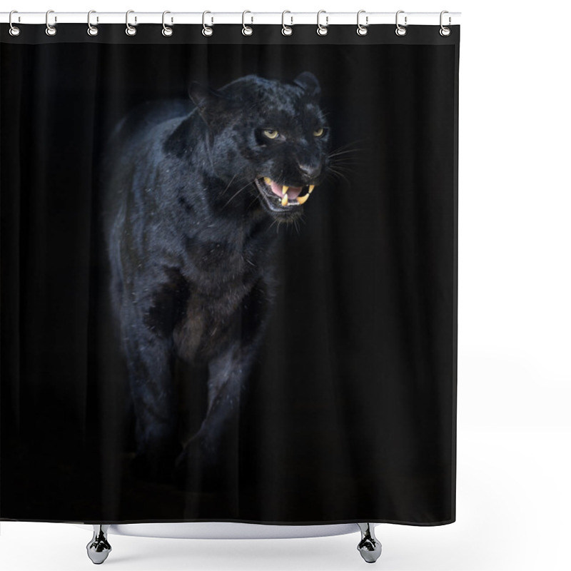 Personality  Amur Leopard Shower Curtains