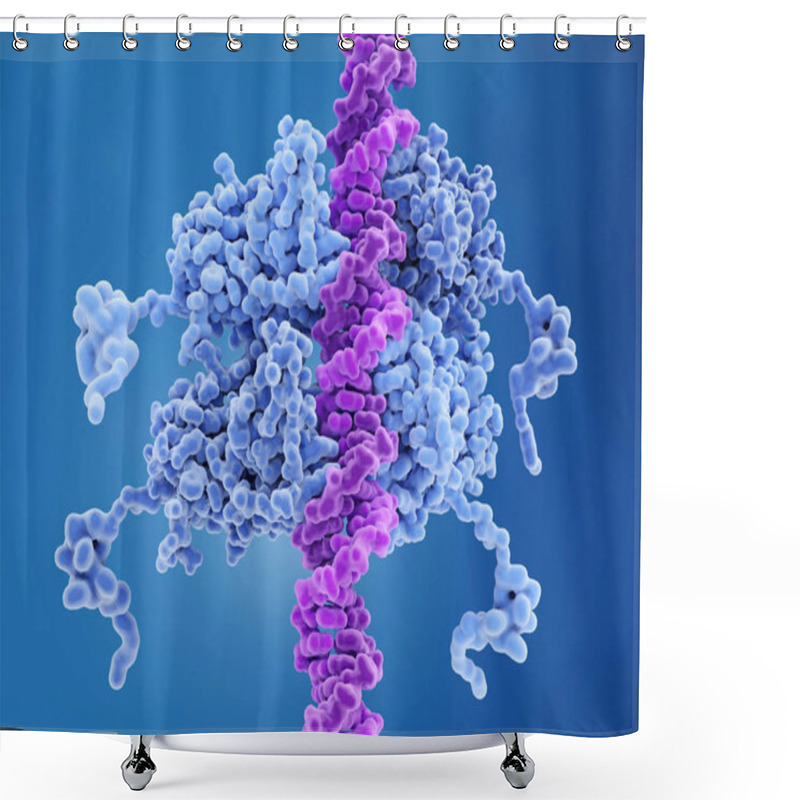 Personality  P53 Bound To DNA P53 Prevents Cancer Formation And Acts As A Guardian Of The Genome. Mutations In The P53 Gene Contribute To About Half Of The Cases Of Human Cancer. 3d Rendering. Illustration Shower Curtains