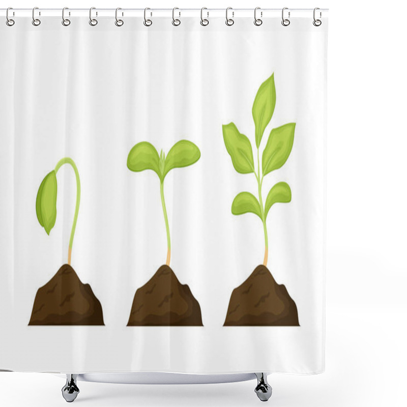 Personality  Seeds Sprouts In A Soil Vector Illustration Isolated On White Background. Phases Plant Growing. Seedling Gardening Plant.  Shower Curtains