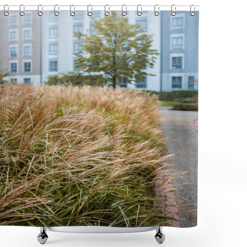 Personality  A Light Blue And White Residential Building Stands In An Urban Area. Ornamental Grasses With Feathery Plumes And A Single Tree Enhance The Landscape. Shower Curtains