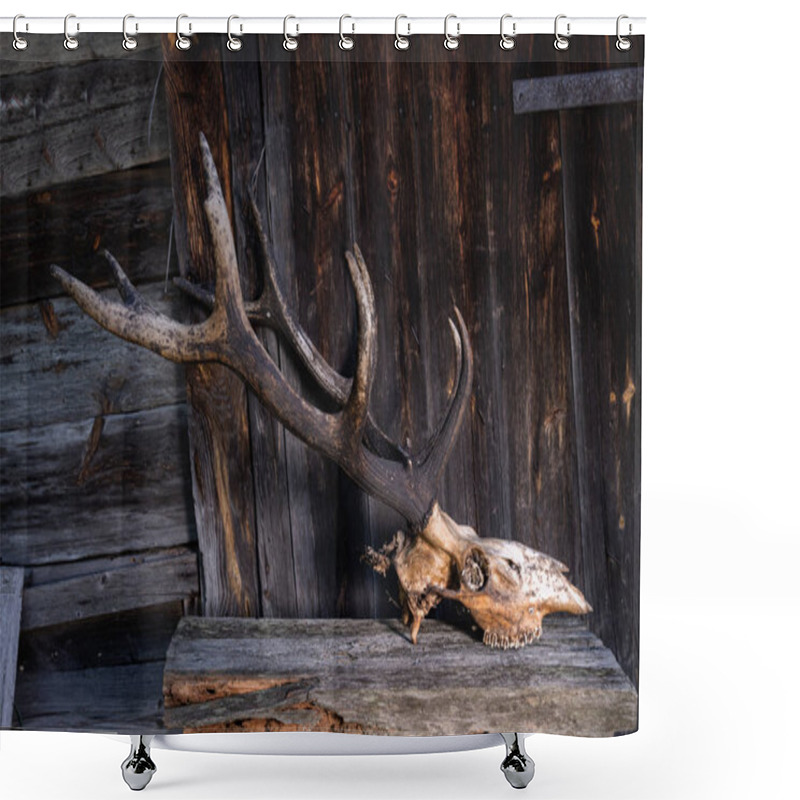 Personality  Deer Head With Horns. Side View Of A Deer Skull. Shower Curtains