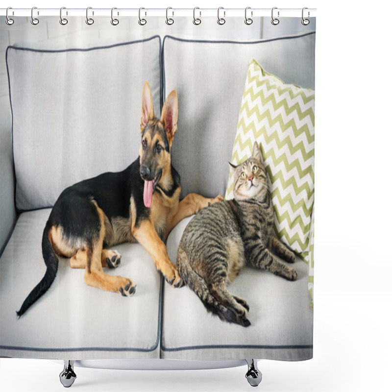 Personality  Cute Cat And Funny Dog  Shower Curtains