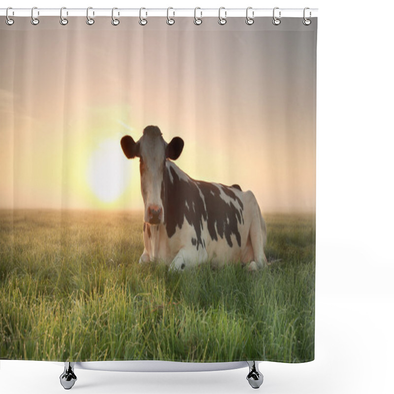 Personality  Relaxed Cow On Pasture At Sunrise Shower Curtains