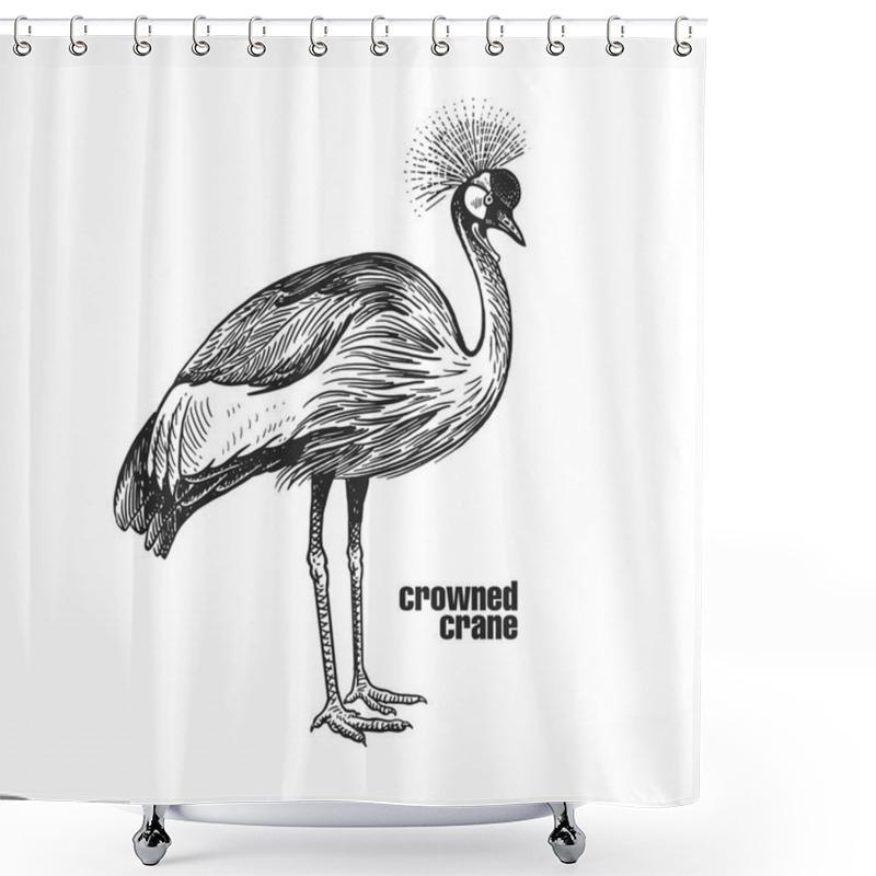 Personality  Crowned Crane. Hand Drawing Of Bird From Wild. Black Figure On White Background. Vector Illustration. Vintage Engraving Style. Realistic Isolated Figure Of Bird With Crown On His Head. Nature Shower Curtains