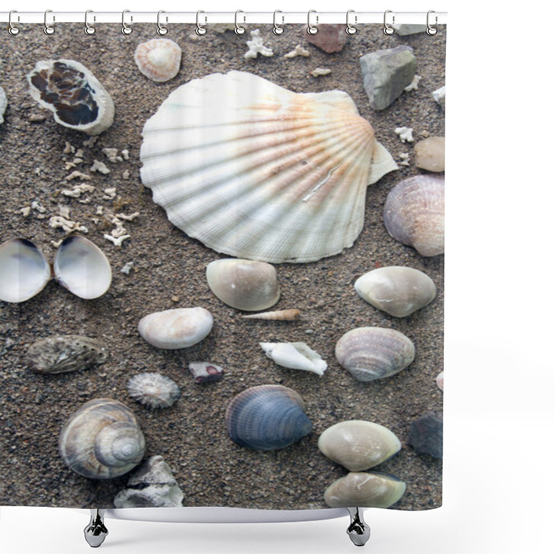 Personality  Sea Life Shower Curtains