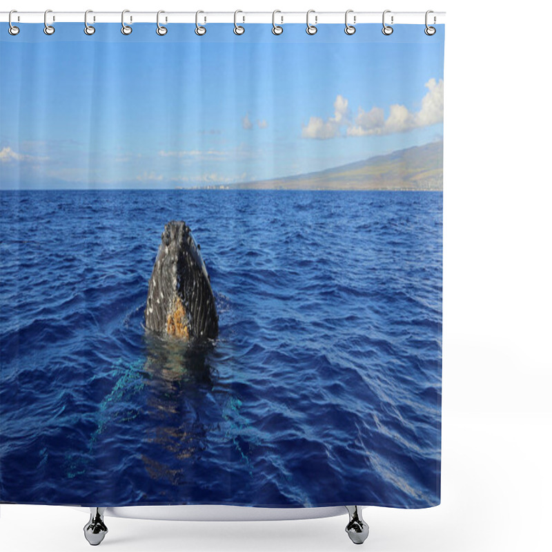 Personality  Maui And Whales Head - Humpback Whale, Maui, Hawaii Shower Curtains