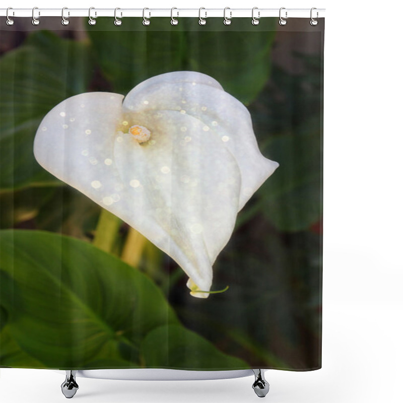 Personality  Calla Lilly Flower In The Garden With Abstract Glitter Overlay Shower Curtains