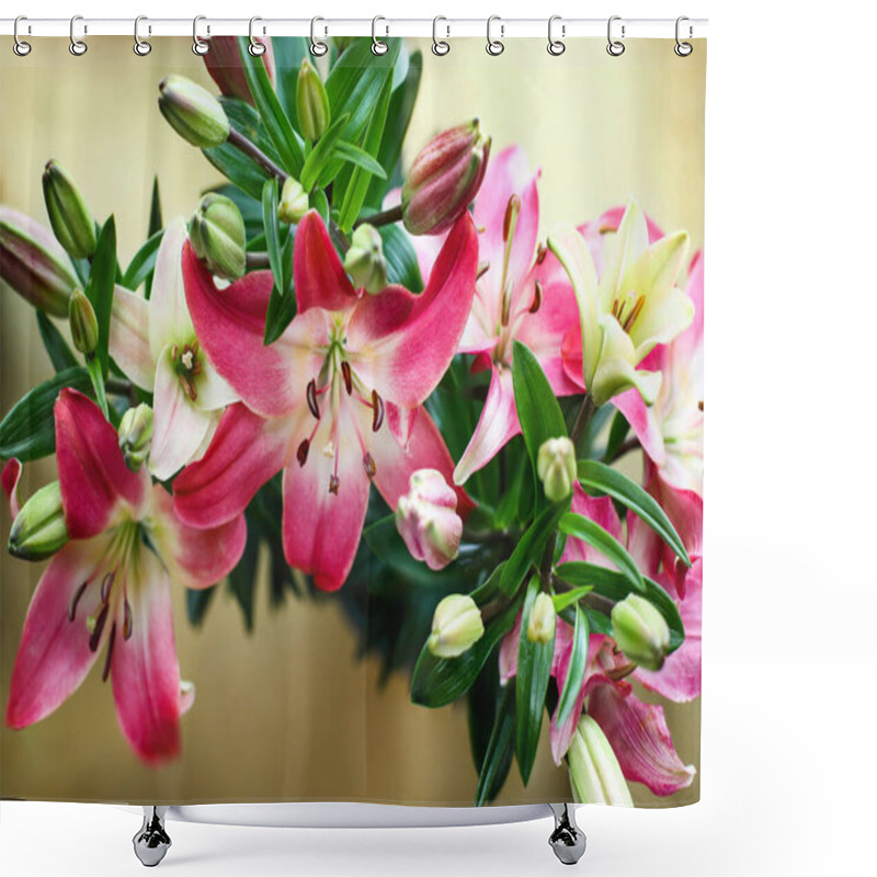 Personality  Overhead View Of Beautiful Dark Pink And White Asiatic Lilies (Oriental Lily), Lilium Hybrid; Over A Copper Background. Image Shot From Top View.  Shower Curtains