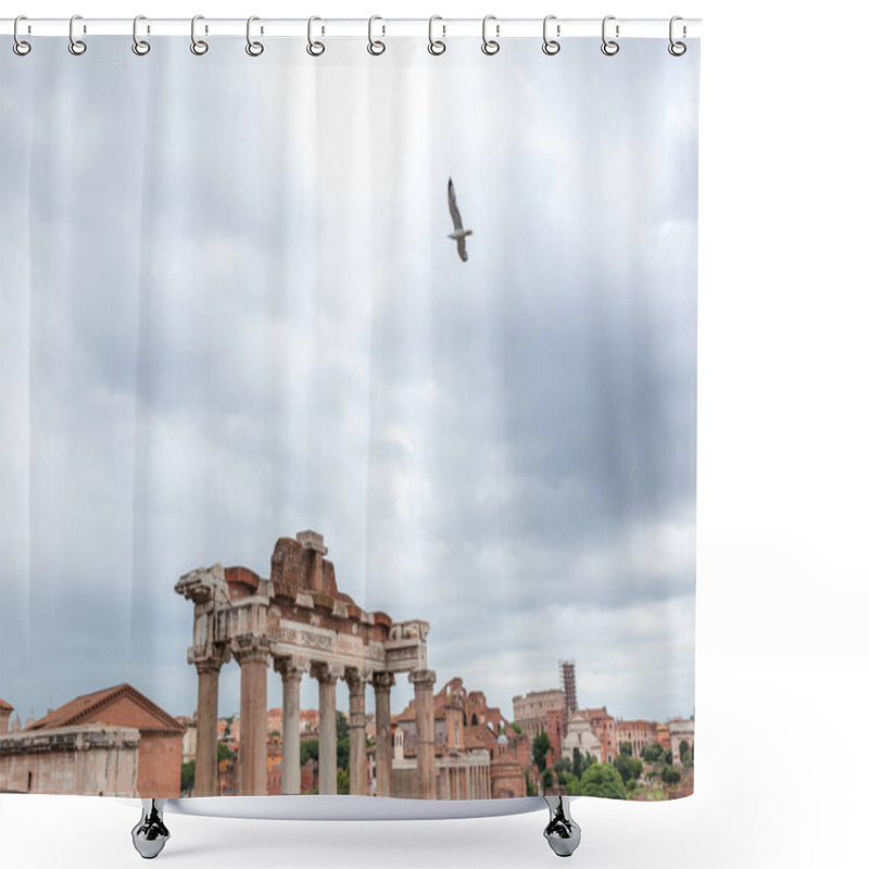 Personality  Roman Forum Shower Curtains