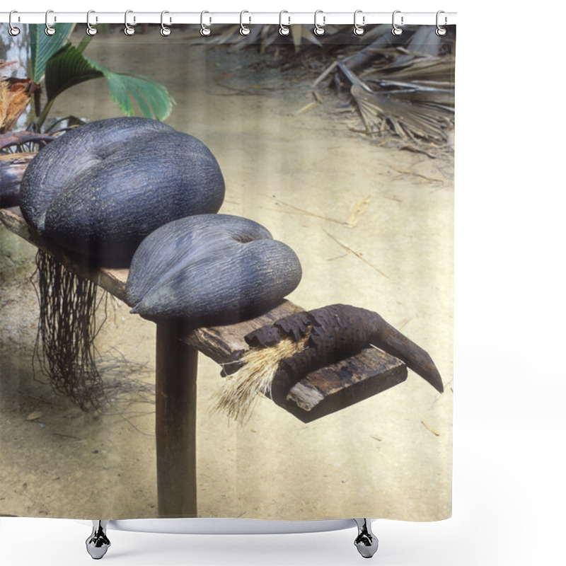 Personality  Praslin, Seychelles Shower Curtains